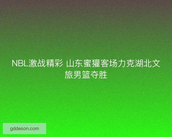 NBL激战精彩 山东蜜獾客场力克湖北文旅男篮夺胜